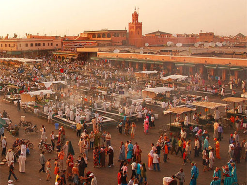 馬拉喀什和撒哈拉沙漠的8天之旅