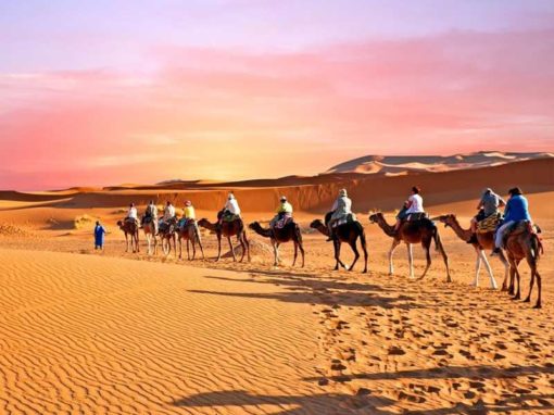 馬拉喀什-非斯5天遊