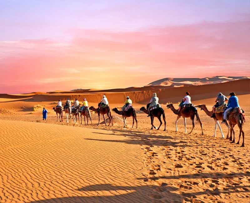 馬拉喀什-非斯5天遊