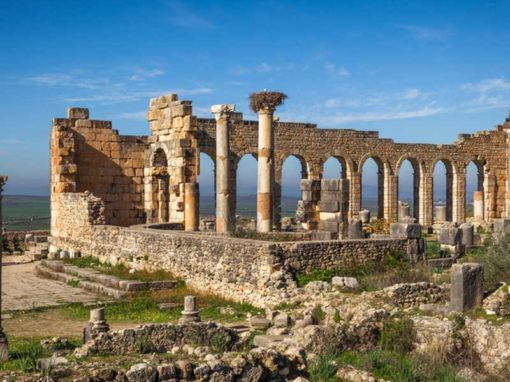 撒哈拉沙漠4天之旅