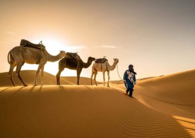 撒哈拉沙漠團（快閃3天）