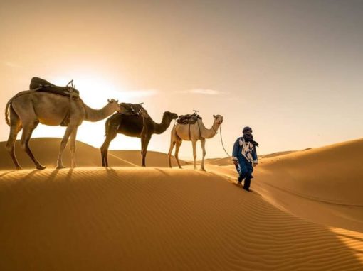 撒哈拉沙漠團（快閃3天）