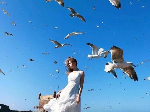 風之城-索維拉 (Essaouria)