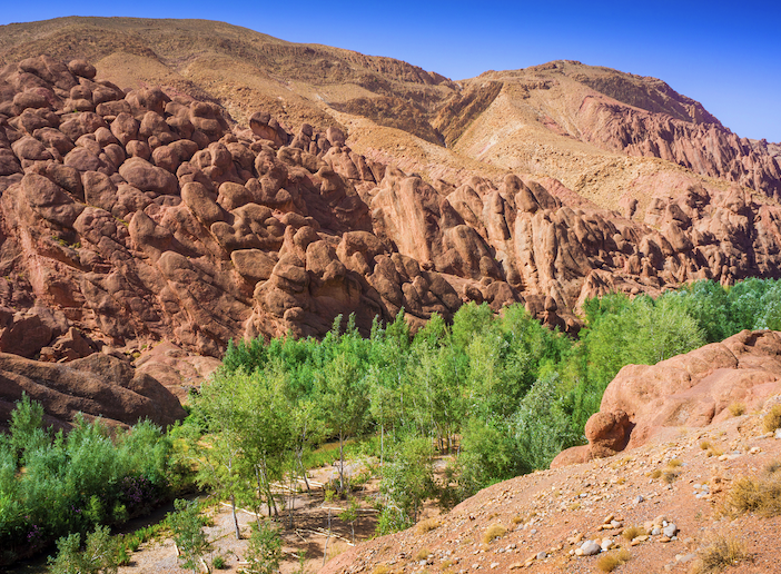 撒哈拉沙漠超值4天