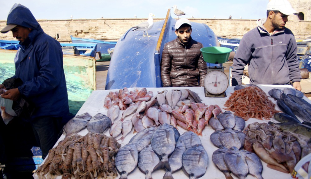 essaouira seafood